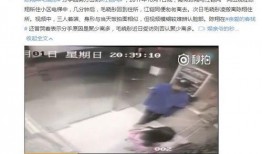 沧州吃瓜爆料视频曝光,揭秘背后惊人真相