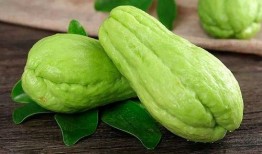 熊海龙 吃瓜,揭秘娱乐圈“吃瓜”背后的真相与趣味