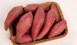 糖尿病可以吃瓜和红薯吗,糖尿病患者的瓜果与红薯食用指南