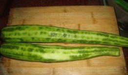 猪吃角瓜,探寻猪与角瓜的奇妙缘分