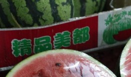 吉林化工吃瓜,揭秘事故背后的真相与反思