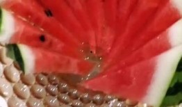 赚老板钱吃老板瓜,赚老板钱，吃老板瓜的智慧之道