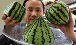 日本孕妈群吃瓜,揭秘孕期生活那些事儿