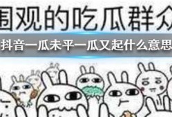 抖音早期吃瓜,吃瓜群众的狂欢盛宴