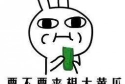 吃瓜也遗传吗,揭秘“吃瓜”习惯的遗传奥秘