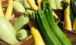 1914吃瓜,瓜田里的历史瞬间