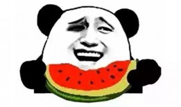 吃瓜宗主,瓜界传奇的崛起与辉煌