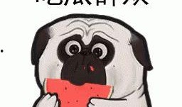 带你吃瓜之奇葩茶叶女,带你吃瓜之奇葩茶叶女生的奇闻轶事