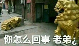 带你吃瓜石狮子