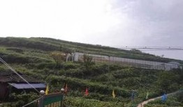 吃瓜事件河北邢台,揭秘背后真相与反思