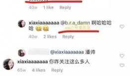 论文式吃瓜,揭秘学术圈那些鲜为人知的趣闻轶事