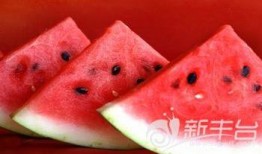 什么叫吃瓜命,揭秘网络时代下的围观者命运