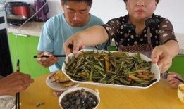 面瓜梗怎么吃,解锁家常美味新境界