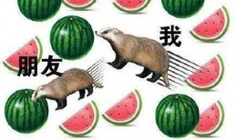 3兄弟吃瓜,三兄弟瓜田奇遇记