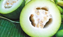 熊海龙 吃瓜,揭秘娱乐圈“吃瓜”背后的真相与趣味