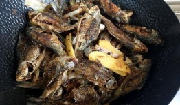 小酥鱼吃瓜,揭秘娱乐圈幕后故事