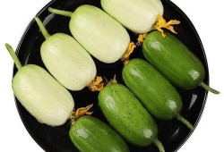 山顶上栽瓜能有瓜吃吗,挑战极限的农业奇观与收获之谜