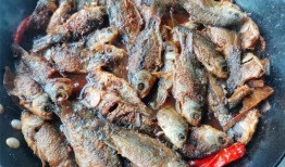 小酥鱼吃瓜,揭秘娱乐圈幕后故事