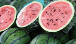 某网友专业吃瓜,专业吃瓜背后的故事与真相