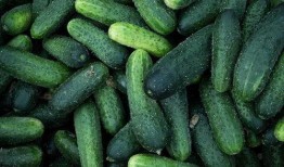 青沐吃瓜,揭秘娱乐圈那些不为人知的幕后故事