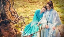 吃瓜宗主,瓜界传奇的崛起与辉煌