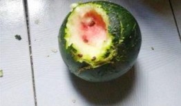 离普吃瓜,揭秘娱乐圈背后的真实故事