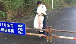 大爷扶栏杆吃瓜,大爷的悠闲生活瞬间