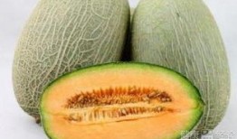 哈密瓜吃瓜哥是谁呀,网络红人的崛起之路