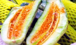 吃瓜云,网络热议背后的真相与启示