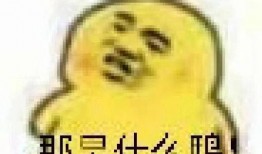 吃瓜笑表情包,揭秘吃瓜笑表情包的趣味魅力