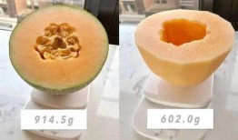 孕早期一天吃一个哈密瓜,哈密瓜助力孕妈健康营养之旅