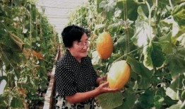 离普吃瓜,揭秘娱乐圈背后的真实故事