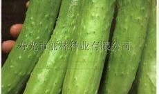 有瓜吃吗图片,揭秘“有瓜吃吗”背后的故事