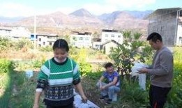 吃迷你小八瓜,舌尖上的美味探索之旅