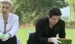 吃瓜吴某某,娱乐圈的“瓜王”传奇