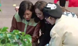 程姐吃瓜,揭秘娱乐圈幕后故事