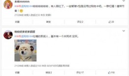 吃瓜群众吃热搜,热搜背后的故事与真相