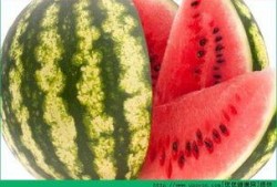 每天吃西瓜哈密瓜,西瓜与哈密瓜的甜蜜日常