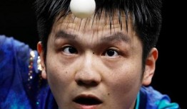 张本智和吃瓜群众,瓜田里的“瓜王”