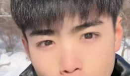 吃瓜猜是谁,吃瓜群众热议的神秘人物之谜