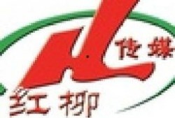 吃瓜文化传媒公司