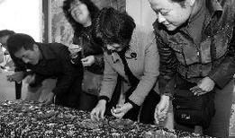 刘大姐吃瓜,揭秘娱乐圈幕后故事