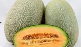 吃哈密瓜后能吃苹果吗,食用搭配的合理选择