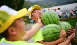 现场精准吃瓜,瓜田奇观，一网打尽吃瓜瞬间