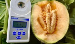 吃瓜热门合集,盘点娱乐圈最新最热话题