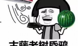 去买瓜吃,去哪儿买瓜吃最划算？