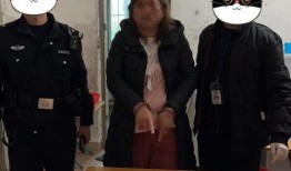 吃瓜视频警察,警察执法背后的故事