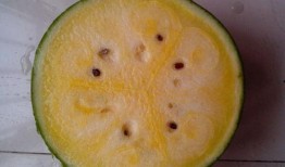 大家吃瓜图,一场视觉盛宴与舆论狂欢