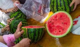 大学生视频吃瓜,大学生视频吃瓜，揭秘校园生活趣味瞬间