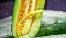 吃瓜超甜,吃瓜超甜背后的甜蜜秘密